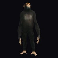a_c_chimp