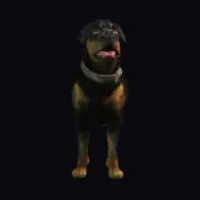 a_c_chop