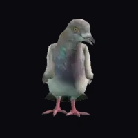 a_c_pigeon